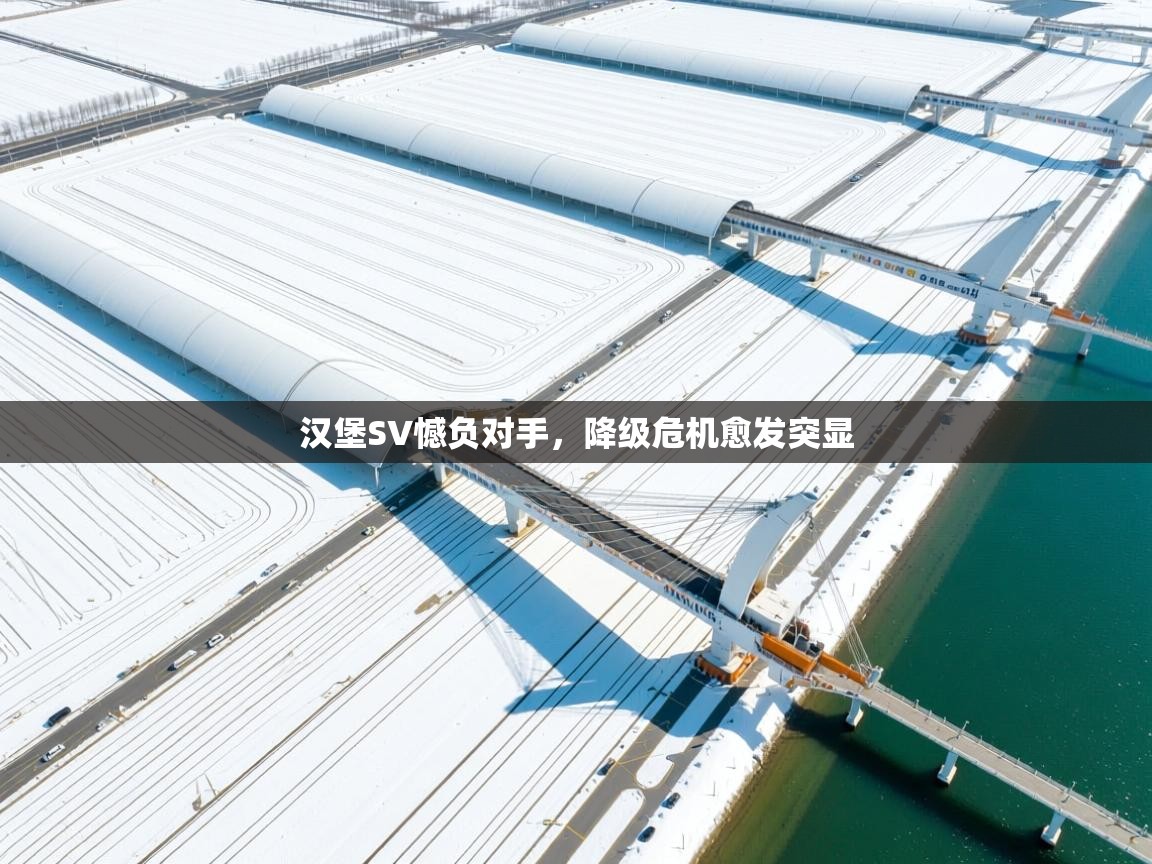 蓝鲸体育直播在线观看免费版-汉堡SV憾负对手，降级危机愈发突显  第2张