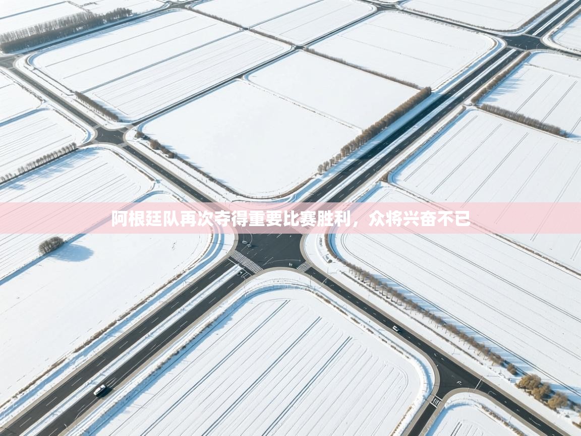 蓝鲸体育直播在线观看-阿根廷队再次夺得重要比赛胜利，众将兴奋不已